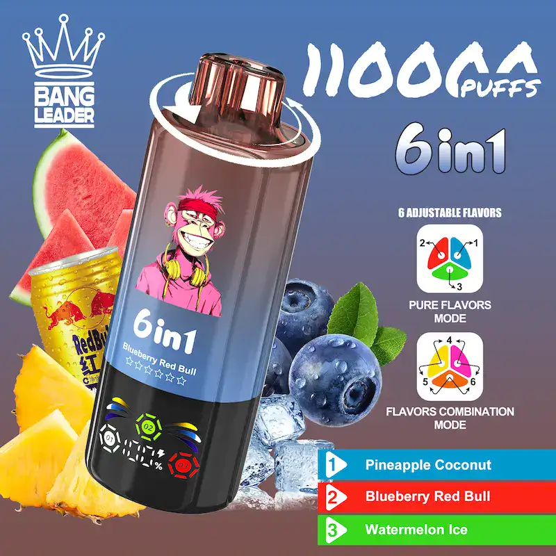 BANG LEADER 110K bouffées 6 en 1 Vape jetable