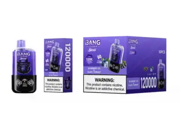 Bang Leader Stoll 120K Puffs 120000 Disposable mesh coil vape
