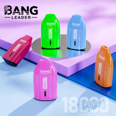Bang Leader 18K Disposable Vape - 18000 Puffs, 650mAh Battery, Type-C Charging