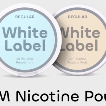 OEM Best Nicotine Pouches 3mg 6mg 15mg 20mg wholesale nicotine vape stores tobacco pouch