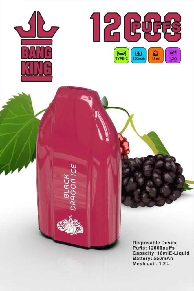 Bang king 12000 Vaper Disposable Vape  puff 12k