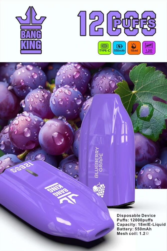 Bang king 12000 Vaper Disposable Vape  puff 12k