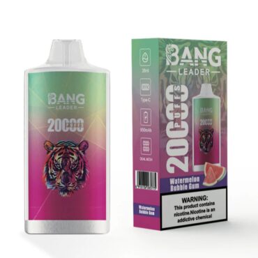 bang leader 20000 dual mesh  disposable vape puff 20k vaper