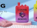 Top Vape Brands puff bang leader 80000