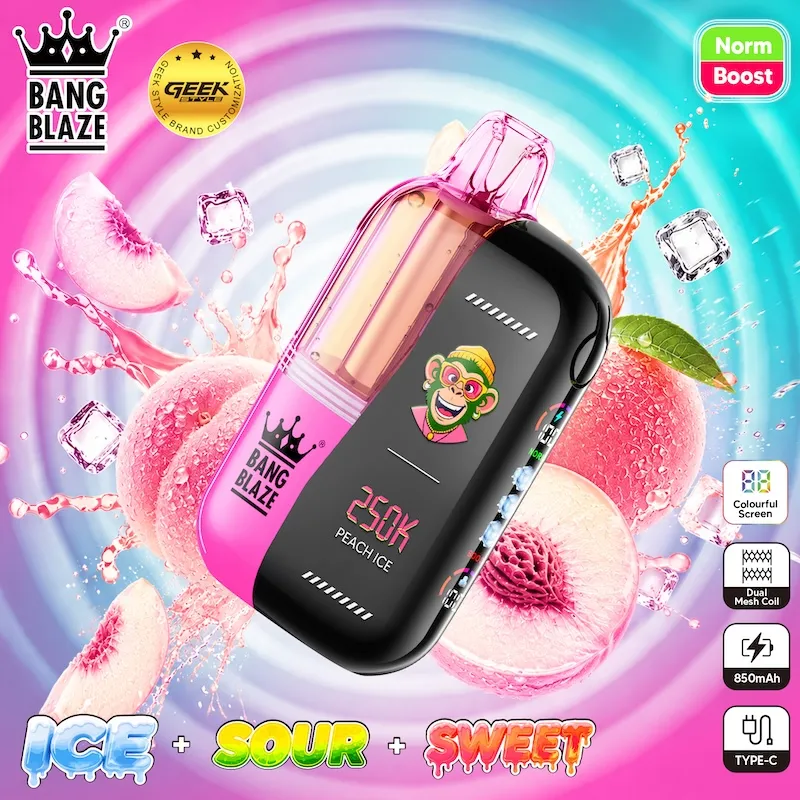 BANG Blaze 250k Fast Charging Vivivapes USB Type-C Charging Port of BANG Blaze 250k Vape