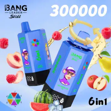 Bang Leader 300K Puffs 300000 6 in 1 Vape - 65ml Capacity, 0%/2%/5% Nicotine,12 Flavors bang stoll