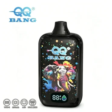 QQ Bang rechargeable disposable vape long lasting vape device