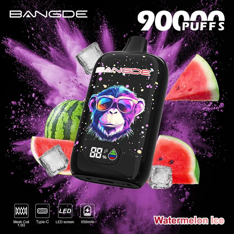 Type-C fast charging port on BANG DE 90000 puff vape