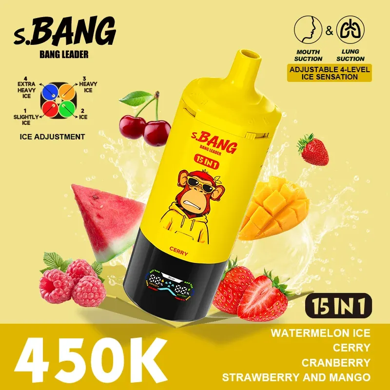 imgi 10 Bang Leader 450 Vivivapes Type-C rechargeable vape device with 1.0 ohm mesh coil system