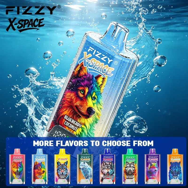 Fizzy X SPACE 100K Puffs Disposable Vape
main front view