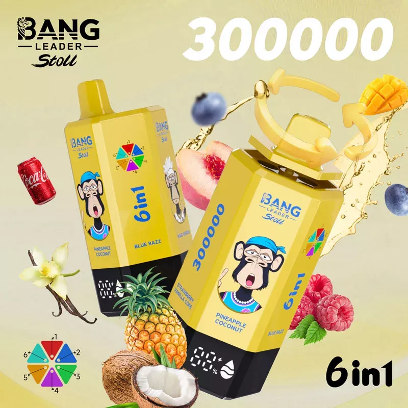 Bang Leader 300K Puffs 300000 6 in 1 Vape