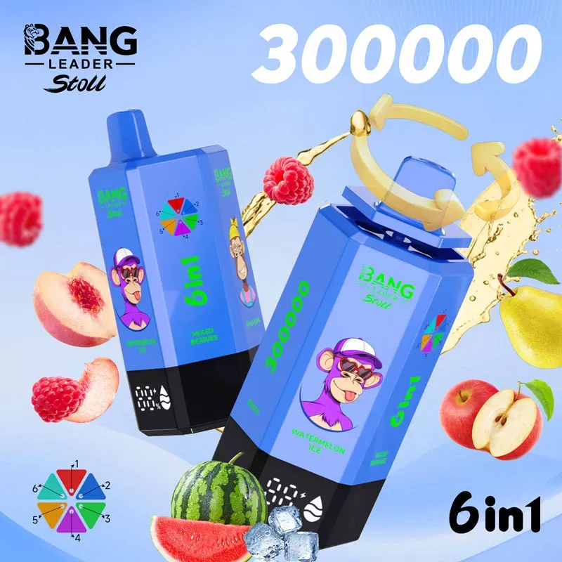imgi 5 01 4 5 Bang Leader 300K Puffs 300000 6 in 1 Vape
