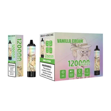 Best 120000 puffs disposable vape