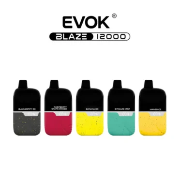 Evok 12000 Puff Vape disposable device in hand showcasing its clean PCTG finish