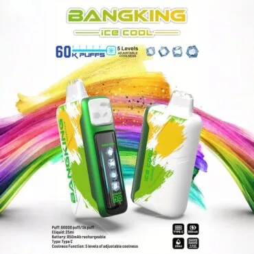 Bang King Ice Cool 60000 Puffs 60k Disposable Vape - 5 Adjustable Coolness Levels LED Screen