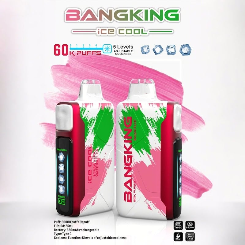 Bang King Ice Cool 60000 puffs buy vapes online
