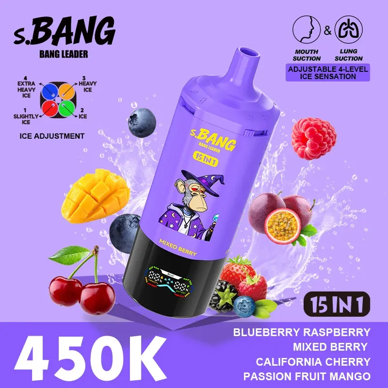 imgi 9 Bang Leader 450 puff Vivivapes premium wholesale disposable vape with OEM and ODM customization support